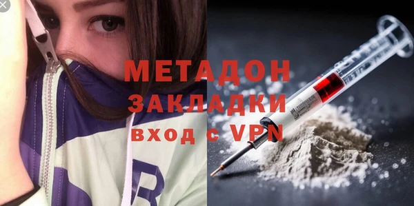 ГАЛЛЮЦИНОГЕННЫЕ ГРИБЫ Богданович