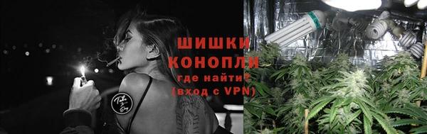 ГАЛЛЮЦИНОГЕННЫЕ ГРИБЫ Богородск