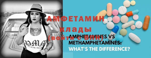 ГАЛЛЮЦИНОГЕННЫЕ ГРИБЫ Богданович