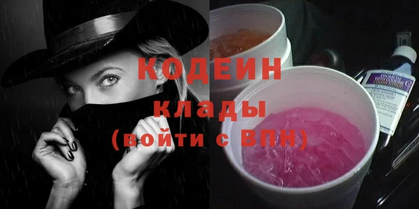 ГАЛЛЮЦИНОГЕННЫЕ ГРИБЫ Богданович