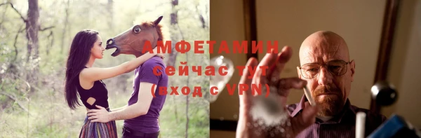 ГАЛЛЮЦИНОГЕННЫЕ ГРИБЫ Богданович