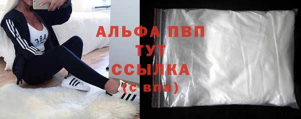 стаф Богородицк