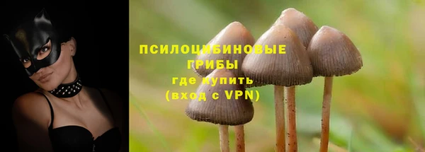 ГАЛЛЮЦИНОГЕННЫЕ ГРИБЫ Богородск