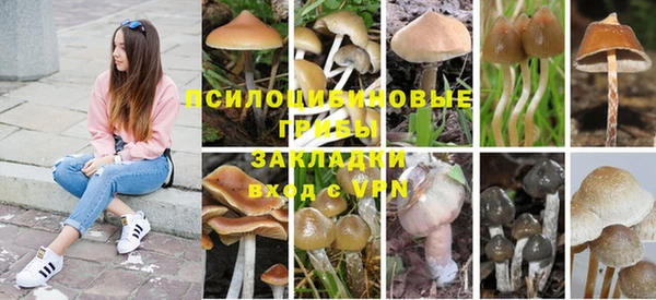 амф Бронницы