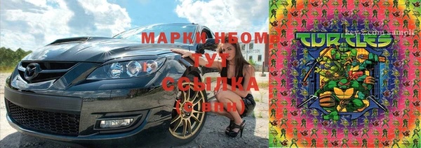 стаф Богородицк