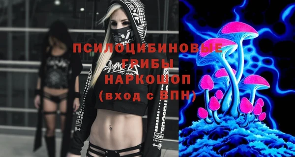 ГАЛЛЮЦИНОГЕННЫЕ ГРИБЫ Богородск