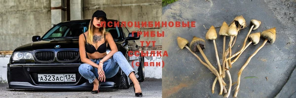 стаф Богородицк