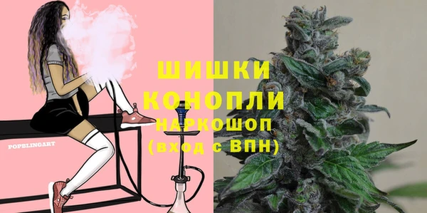 ГАЛЛЮЦИНОГЕННЫЕ ГРИБЫ Богданович