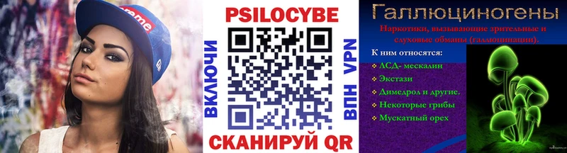 Псилоцибиновые грибы Cubensis  Купить  Малоярославец 